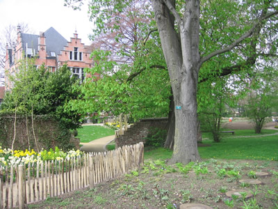 Foto tuin en kasteeltje